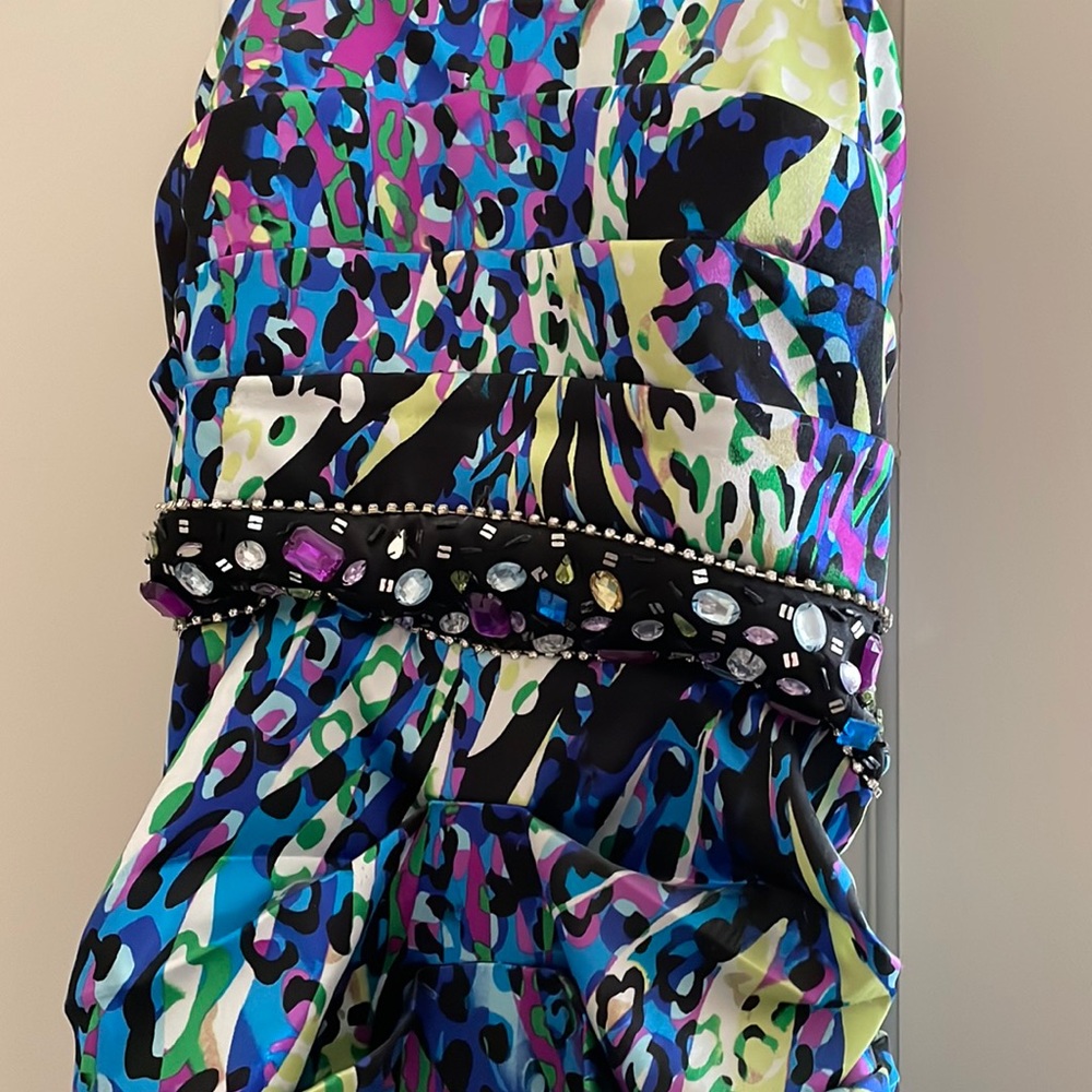 Formal Dress (EUC)